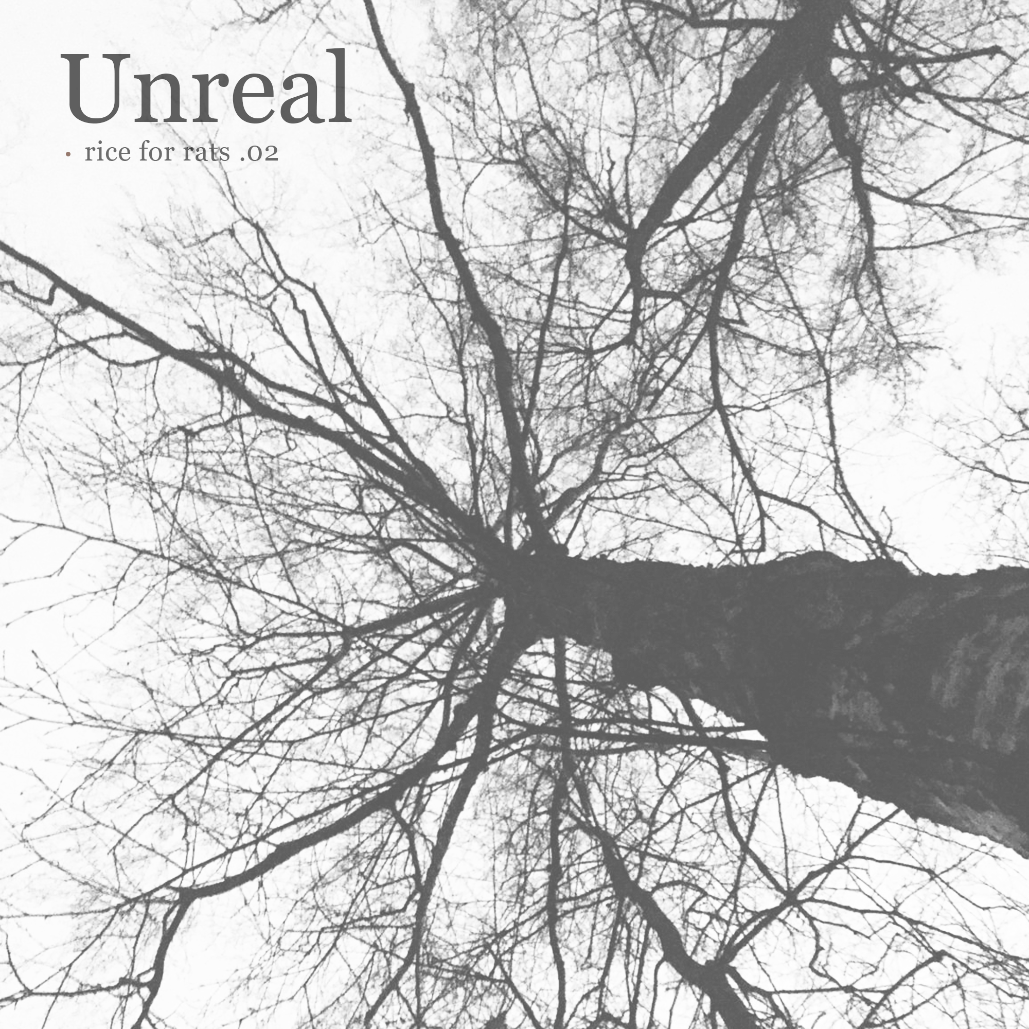 Unreal - rice for rats .02