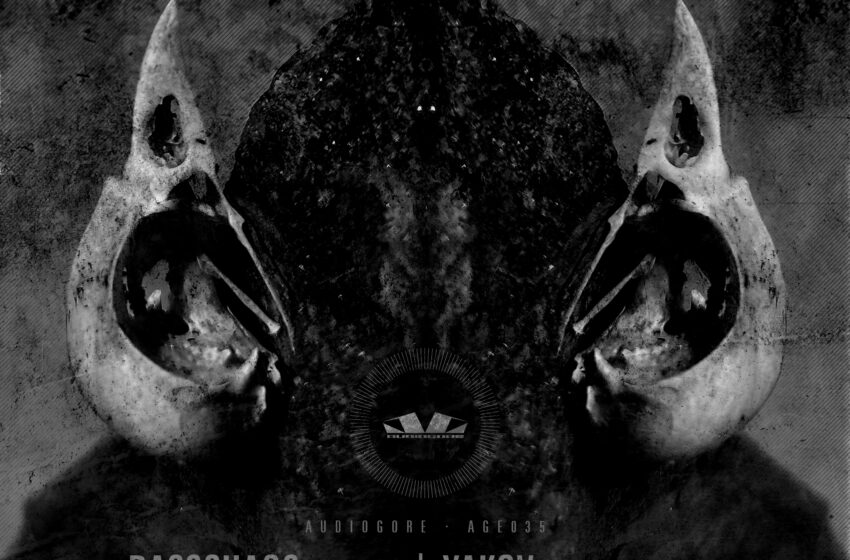  AGE035 · BASSCHAOS – Rebel / Yakov – Desert dust